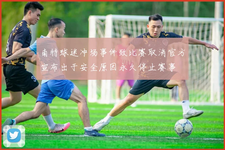 南特球迷冲场事件致比赛取消官方宣布出于安全原因永久停止赛事