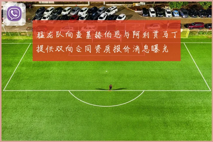 猛龙队向查基赫伯恩与阿利贾马丁提供双向合同资质报价消息曝光